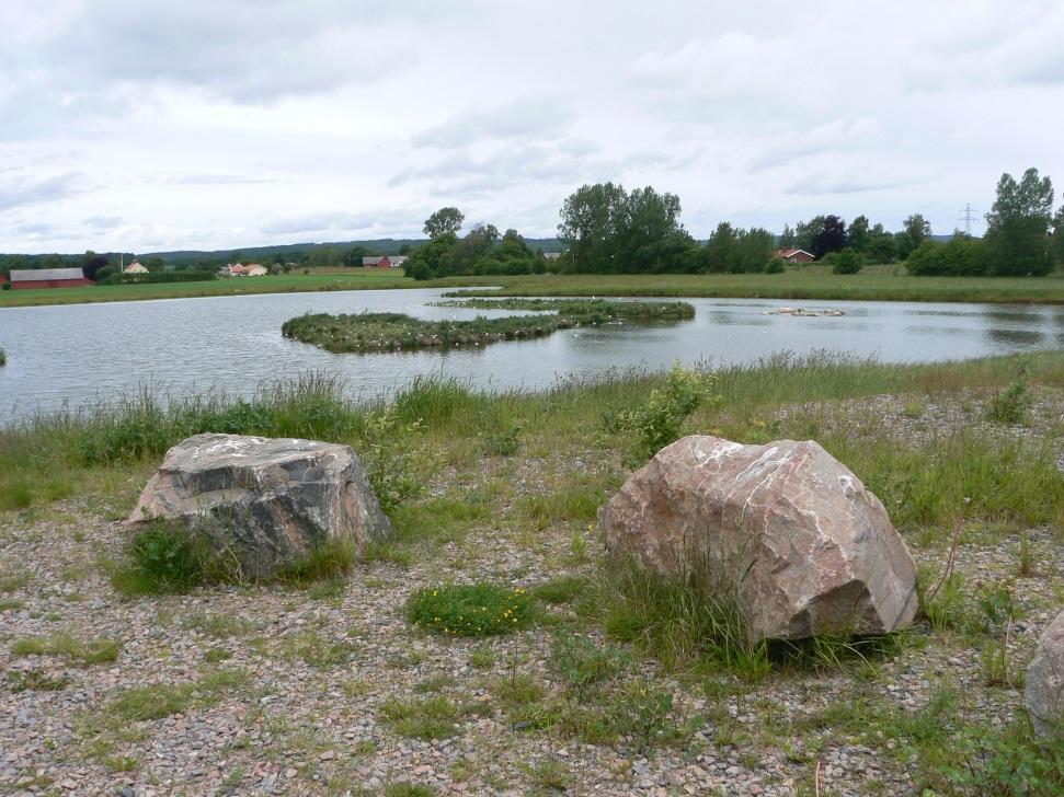 Obnova mokřadů, Švédsko Thriving wetlands (Prosperující mokřady) program švédské EPA přijatý v roce 1999 cílem obnovit 12,000 ha mokřadů na zemědělské půdě do roku 2010 v letech 2000-2011 bylo