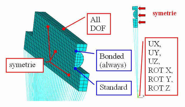 Obr. 6.6 Vazby a kontakty jehlového ložiska v programu ANSYS Pro vytvoření kontaktu Boned (always) a Standard jsem znovu použil Contact Manager programu ANSYS.