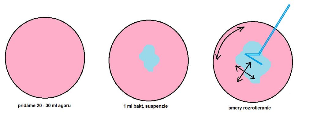 Izolácia rozterom na povrch platne 1. Do sterilnej petriho misky pridáme 20-30 ml agaru a necháme stuhnúť pri izbovej teplote, pozn.