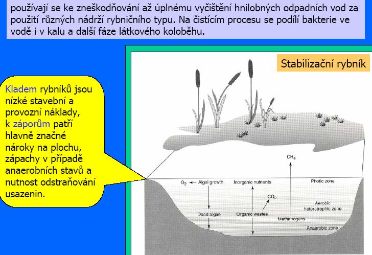 1 4. STABILIZAČNÍ NÁDRŽE významnou roli hrají řasy popř.