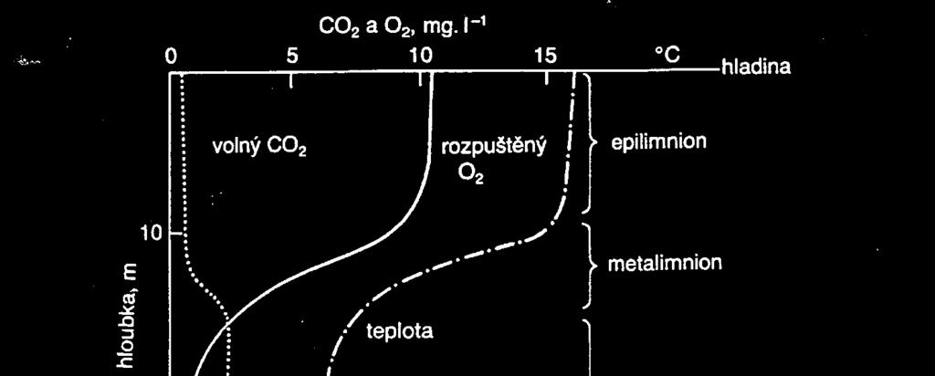 koeficient absorpce (40 50x vyšší než O 2 ) a je ho tedy ve vodě více než v atmosféře.