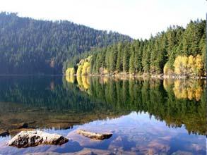ŠUMAVSKÁ JEZERA Černé jezero Vznik v poslední době ledové