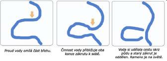 změnil zátopové periodické či trvalé tůně, vzniklé zatopením terénní deprese vedlejší rameno, plně teče voda slepé rameno mrtvé rameno