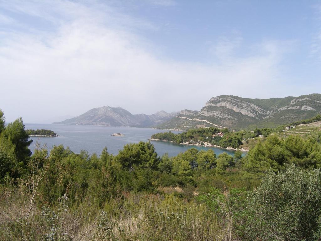 Žuljana