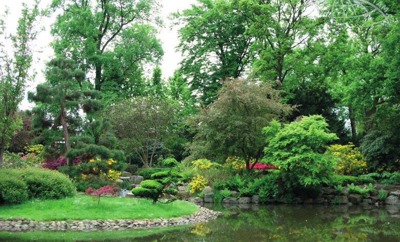RADOSTNÁ STUDÁNKA 13 Především ale navštívíme zdejší Botanickou zahradu a Japonskou zahradu.