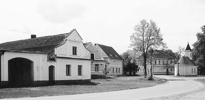 âást ra elini È s typickou flórou a faunou, prostírajících se severnû od vsi, je chránûna jako pfiírodní rezervace KozohlÛdky.