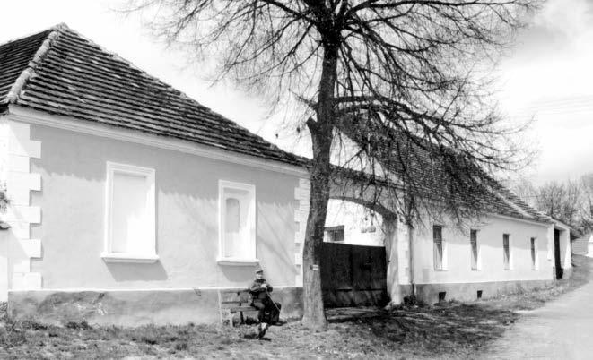 PrÛãelí s pky je ãlenûno pilastry a slep mi arkádami. Velmi podobné jsou s pky usedlostí ãp. 16 a 17 v blízk ch @Sedlíkovicích. Ve títu se objevuje je tû motiv vûneãku a stromû Ïivota.