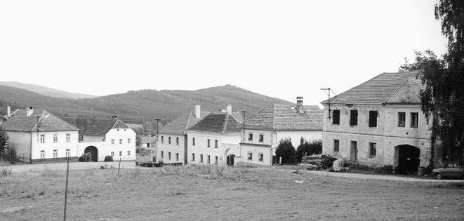 Jihozápadnû od vsi je dvojvrchol Velk (1065,8 m) a Mal (881,4 m) Ple n, souãást ãlenitého okrajového horského pásma umavy, naz vaného Îelnavská hornatina.