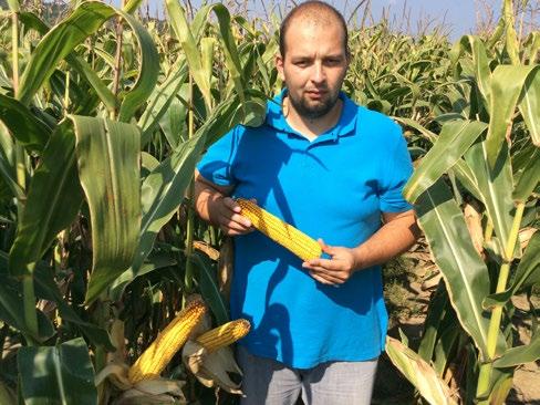 František Zajac, agronóm AGROPA, Pálkovács Ondrej, Rimavské Janovce Hybridy kukurice od Pioneer pestujeme už 15 rokov. P9578 považujem za najlepšiu voľbu na naše parcely, pretože sa tu cíti ako doma.