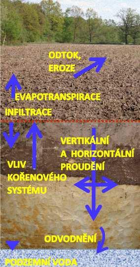 za přístupu vzduchu) a činností mikroorganismů přeměňuje bioodpad na kompost. V procesu kompostování hraje důležitou roli surovinová skladba, tj.