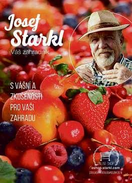 Nejrychleji rostoucí živý plot