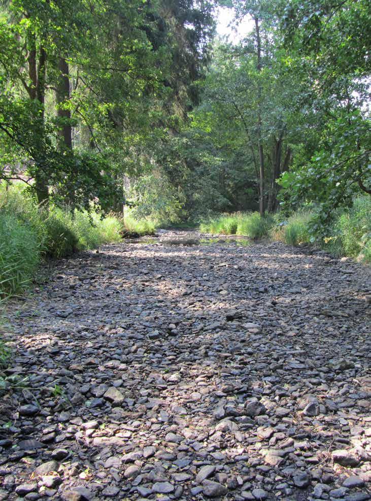 PROBLEMATIKA SUCHA WASSERMANAGEMENT IN TROCKENPERIODEN 3.