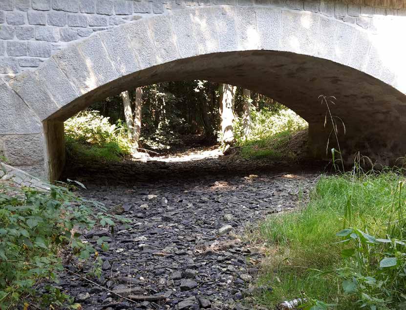 PROBLEMATIKA SUCHA Wassermanagement in Trockenperioden Content 10 14 18 22 26 30 34 38 Overall strategy for the Elbe achievements to date and next steps Gabriel Thomas Identification of low water