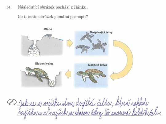 Ukázka 3 ukázka úlohy z vysoké úrovně Následující ukázka úlohy z velmi vysoké úrovně se vztahuje k literárnímu textu Majda a rezavá slepice popisujícímu starosti dívky Majdy se slepicí, která se