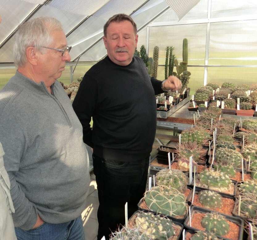 Teď si lze jen přát, aby letošní setkání gymnofilů mělo kvalitní úroveň a přijelo co nejvíce jejich příznivců. Setkání gymnofilů proběhne ve dnech 29. - 31. 8. 2014 v Havířově, hotel RUDOLF.