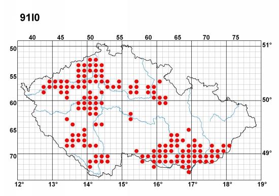 v nejteplejších oblastech velkoplošné porosty na mírných svazích nebo plošinách, v chladnějších a vlhčích oblastech vázány na strmější, jižní svahy maloplošné porosty v minulosti těženy na palivové