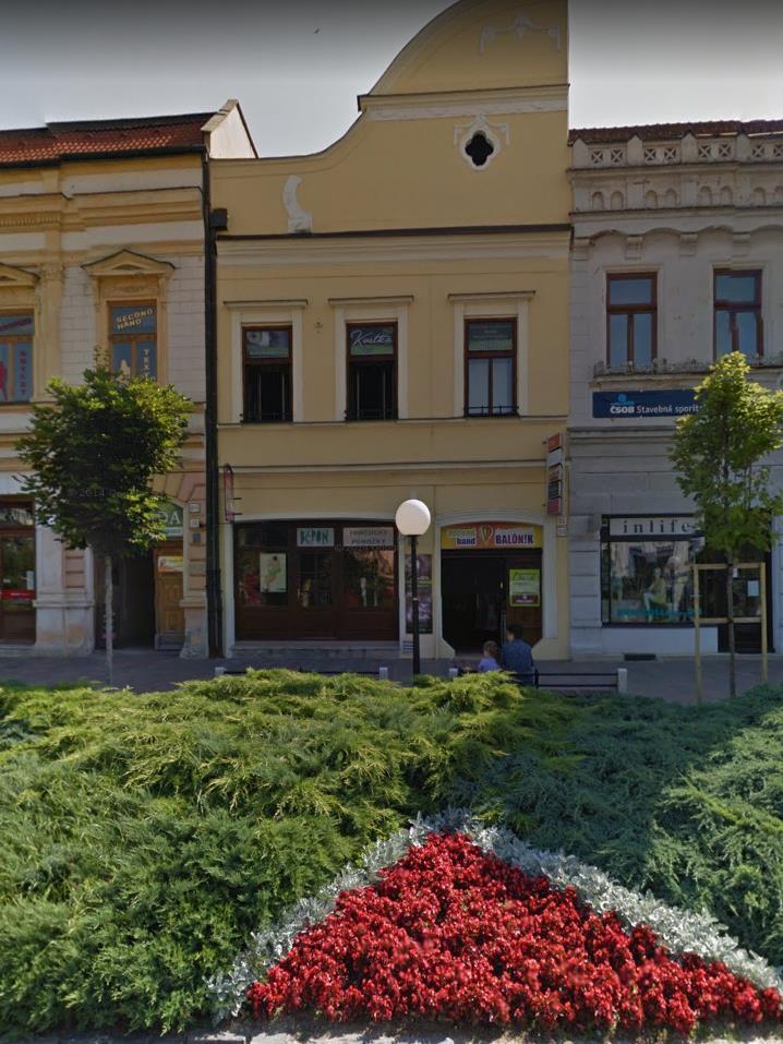 História chémie na Slovensku J.A. Rayman J. A.