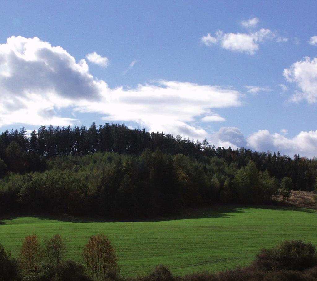 108 Zpráva o stavu lesa a lesního hospodářství České republiky v roce 2006 Vývoj poskytnul lesnímu hospodářství nové hydraulicky ovládané návěsové soupravy, které se na OM upravují podle rozměrů