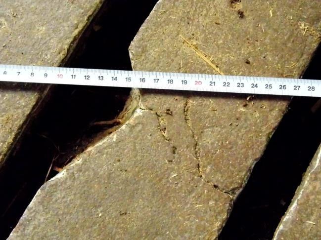 Obrázek 6.9 Trhliny v betonových roštech zemědělského družstva ZEAS Nedakonice, a.s. [57] 6.