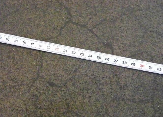 Za vytváření mikrotrhlin může nejvyšší měrou smršťování betonu. Mikrotrhliny jsou zobrazeny na obrázku 6.13. Obrázek 6.