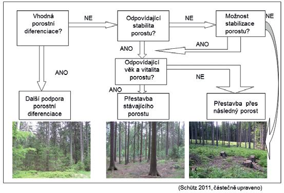 Rozhodovací postup přestaveb Zhodnocení aktuálního stavu porostu a návrh stavu cílového stav cílový je popsán v kap. 2.3.