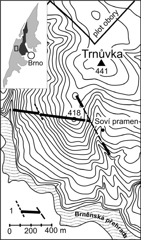 Obr. 2: Balvanitý výchoz v.-z. části křemenné žíly. Fig. 2: Boulder outcrop of the E W running part of the quartz vein. Asi 100 m severněji od posledního výchozu v.-z. průběhu žíly vystupuje v délce několika desítek metrů část křemenné žíly o směru kolem 145 160 (obr.