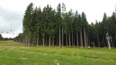 Foto 12: Pohled na východní okraj lesního porostu