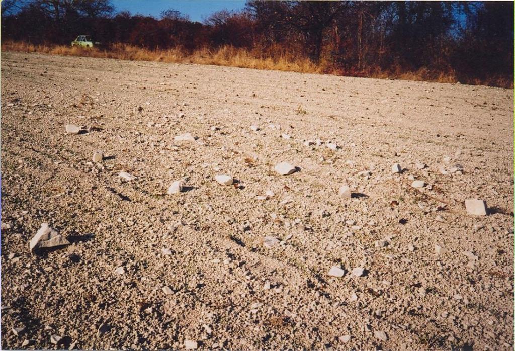 detailního paleontologického výzkumu přesněji stanovit hranice a vertikální rozsah rohateckých vrstev a tudíž ani horní hranici teplického a spodní hranici březenského souvrství. Obrázek 4-12.