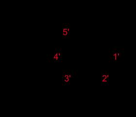 Obr.2: Nukleotid DNA [online]. Dostupné z: <http://wnthinktank.wordpress.com/2012
