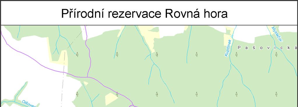 Příloha č.