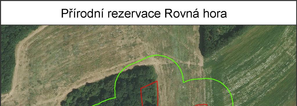 Příloha č.