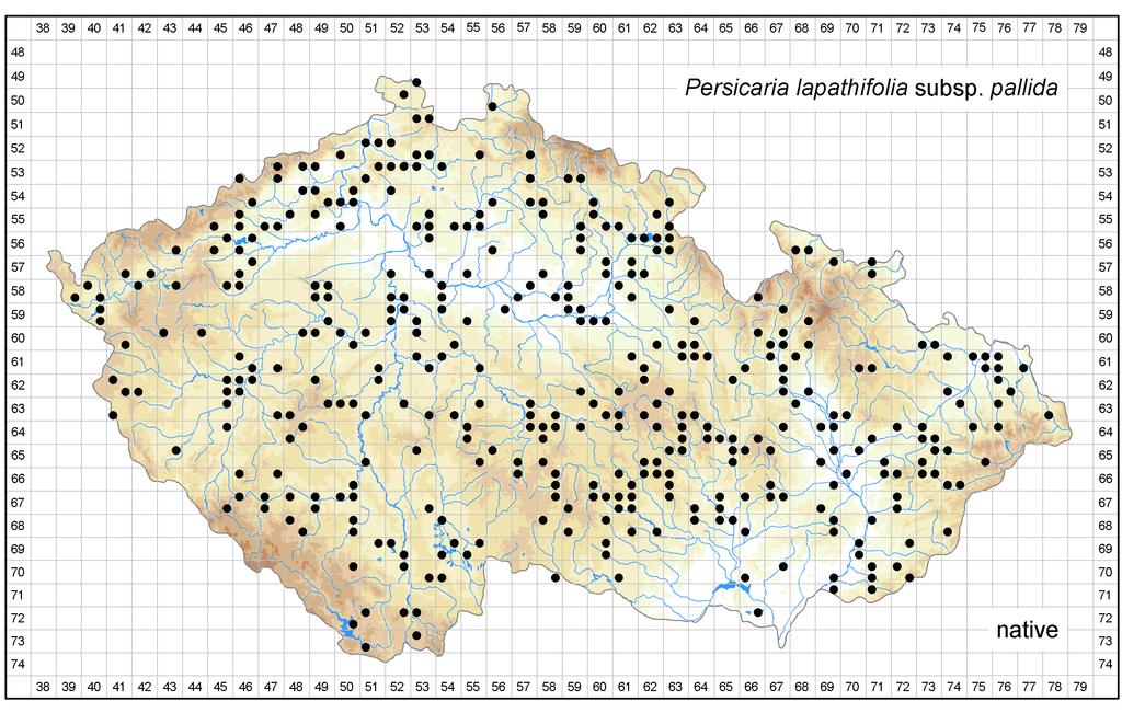 Distribution of Persicaria lapathifolia subsp.