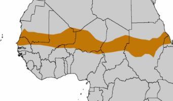 Afrika: stručná analýza problémů kontinentu Vojtěch Šmolík, Matej Bidovsky, srpen 2018 Jednou z největších výzev, které v současnosti čelí Evropská unie, je stálá migrace z afrického kontinentu.