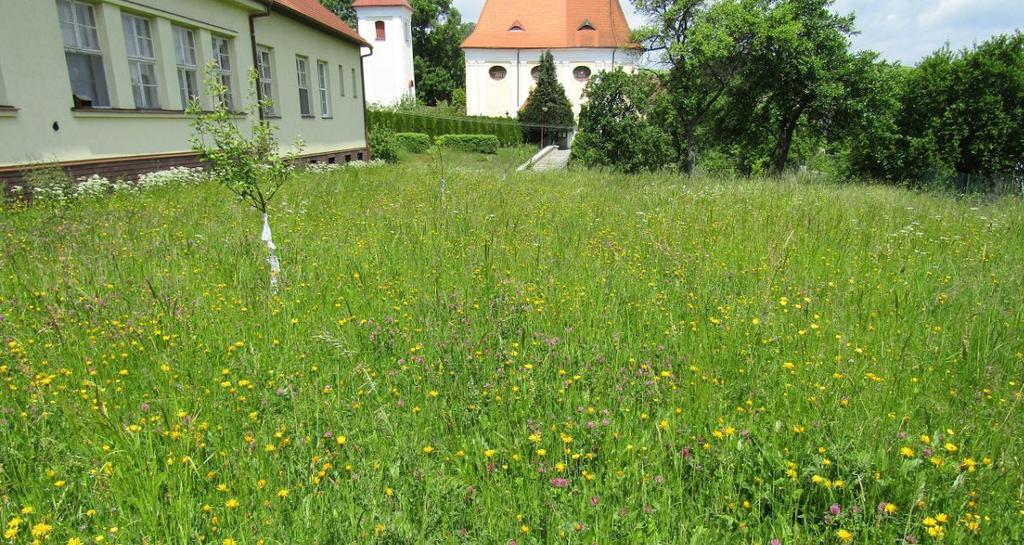 VYUŽITÍ U MATEŘSKÝCH ŠKOL U mateřských škol se zakládají květnaté louky,