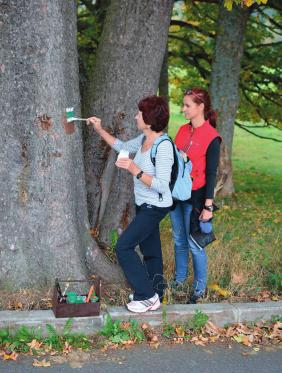 STRANA 14 Naváděcí, potvrzovací a útěchové, tak se dělí turistické značky Tak, to jste možná nevěděli, že se turistické značky dělí na taková tři krásná slovíčka.
