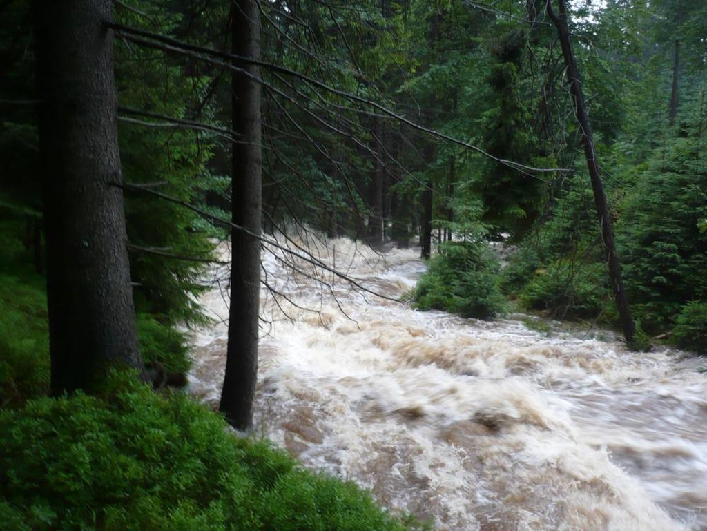 ČESKÝ HYDROMETEOROLOGICKÝ ÚSTAV ÚSEK HYDROLOGIE EXPERIMENTÁLNÍ POVODÍ