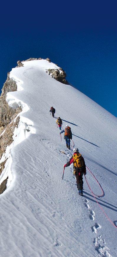 Dovede vás až na vrchol! Hospodaříme v nadmořské výšce 450 600 m n. m. na celkové výměře řepky ozimé cca 270 ha. Dozzen máme v osevním postupu třetím rokem.