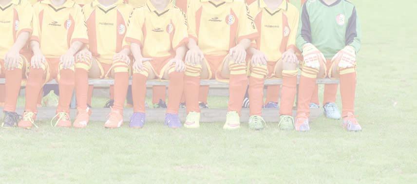 Dolní řada: Martin Kobera, Michal Schnappel, Petr Slavíček, Jan Tikovský, Jakub Vinkler, Andrej Litoš, Miloš Pytlíček, Filip Princ, Martin Třasák, Jiří Brůžek.