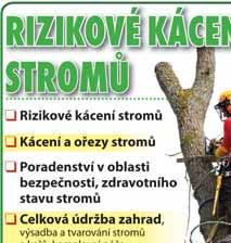 rozsudkem. Ten je tak nyní již pravomocný. Vyjádření vám mohu poskytnout až po obdržení rozsudku Krajského soudu v Brně, omlouval se Josef Augustin.