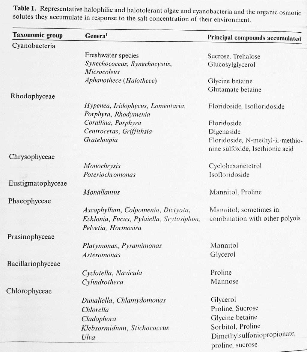 Typické osmolyty některých halofilních a