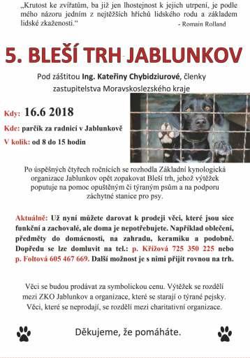 Novinky v knihovně - BELETRIE - Z písku a popela Angelo a Eva spolu vyrůstali a i když se považovali za víc než jen za bratra a sestru, nebylo jim souzeno spojit své životy.