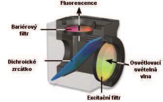 délce, které dichroickým zrcátkem prochází a bariérovým filtrem jsou vybrány pouze vlnové délky fluorescence, kterou chceme pozorovat. Obrázek 3-1: Schéma fluorescenční kostky, převzato z [22].