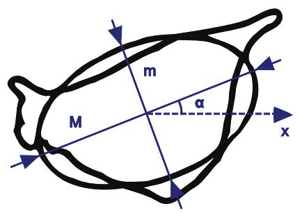 Souřadnice těžiště průmětu, (5) (6) - určují těžiště průmětu.