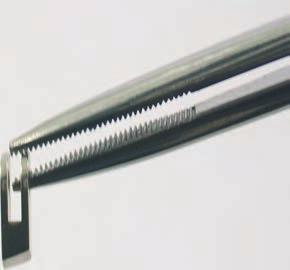 Pinzety 01.