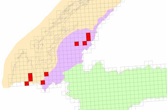 Areal Serratula lycopifolia europska je vrsta rasprostranjena od Francuske, središnje Italije, Slovenije, Hrvatske, Mađarske, Slovačke, Češke Republike do Ukrajine i Rusije, sa središtem