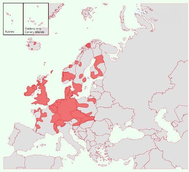 Obr. č. 6: Hlavní evropské i zasažené bolševníkem velkolepým Zdroj: WIKIMEDIA COMMONS. http://commons.wikimedia.org/wiki/file:expansion_of_hogweed_combination.svg (staž. 10.5.2012) Obr. č. 7: Rekonstrukce šíření bolševníku velkolepého v ČR Zdroj: Pyšek P.