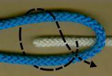 Škotová spojka (škotový uzel) Z méně ohebného ze spojovaných lan vytvořte ohyb. Volný konec slabšího lana prostrčíme ohybem a okolo obou konců ohybu jím uvážeme závit.