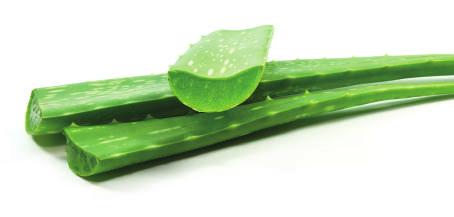 Prírodná starostlivostť ' pre celú rodinu ALOE VERA KRÉMOVÝ DEZODORANT - ANTIPERSPIRANT
