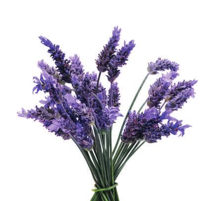 ECODENTA: Krásne a zdravé zuby pre celú rodinu 36 TOP PRODUKTY S ČIERNYM UHLÍM Aromaterapia 100% Éterické oleje Všetky naše oleje sú