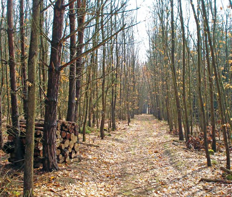 Obr. 12: Udržování trvalých přibližovacích linek má